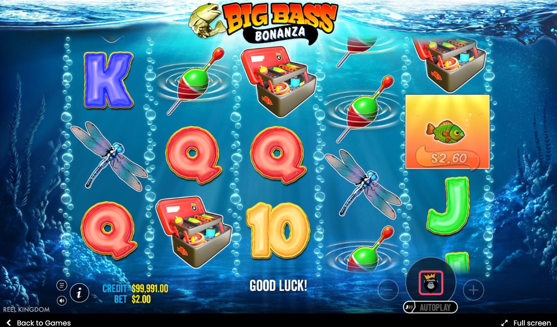 Big Bass Bonanza reels with a small win showing playing card symbols, a dragonfly, and a tackle box symbol