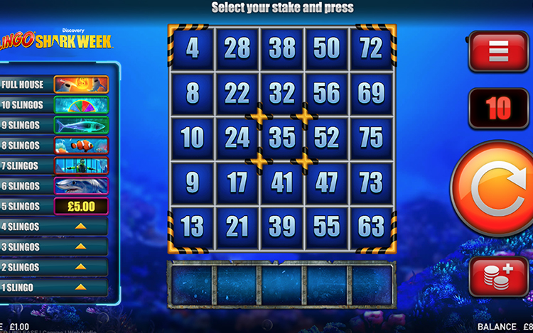 Slingo Shark Week Fish Grab bonus game teaser overlay on the Slingo grid
