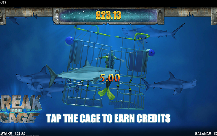 Slingo Shark Week free spins bonus screen showing shark and marine life symbols