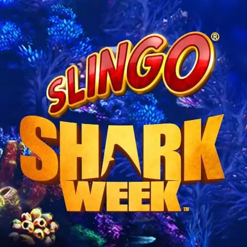 Slingo Shark Week icon