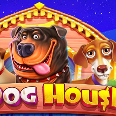 The Dog House icon